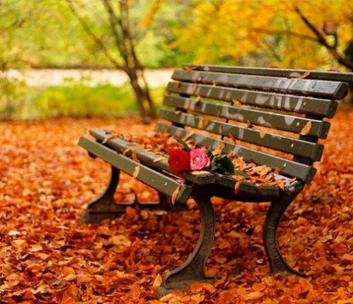 De fapt, toamna a venit joi, la ora 17.21!