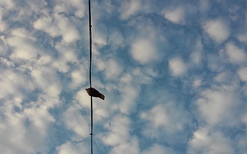 Vremea, astăzi, în Oltenia (audio)