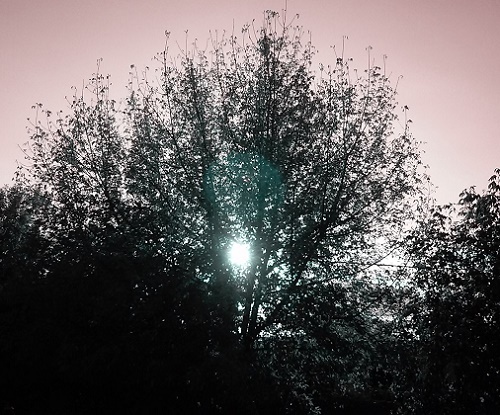 Vremea în Oltenia: 26 septembrie-2 octombrie 2016