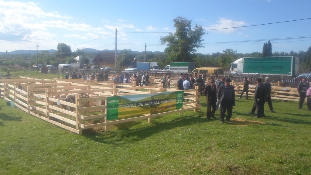 Târg de animale la Vaideeni