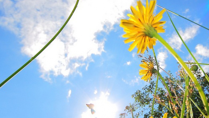 (Audio) Vara si astazi în Oltenia!