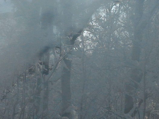 Poemul de azi, by Liliana Hinoveanu