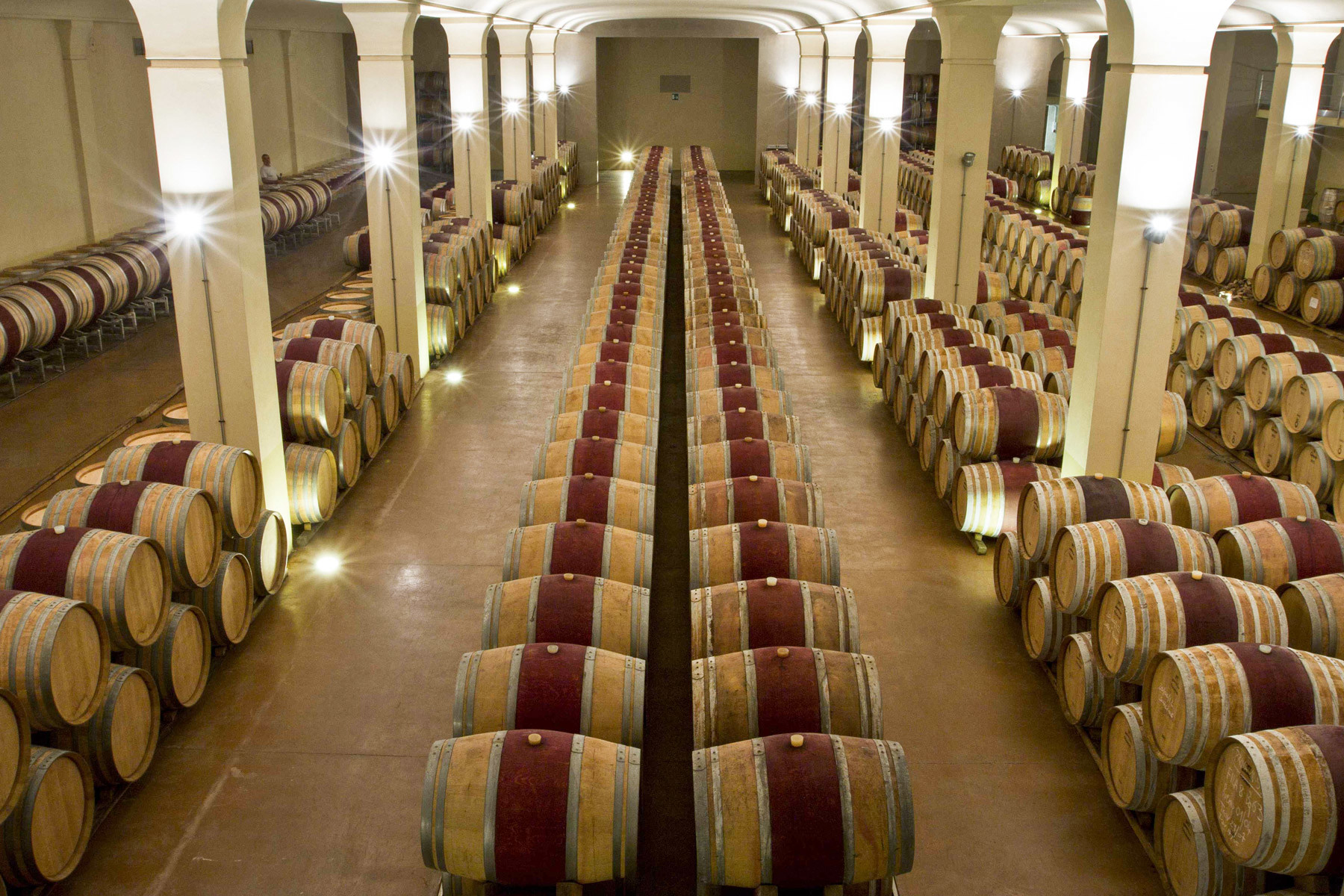 Cine-a pus cârciuma-n drum. A fost descoperită cea mai veche vinărie din lume