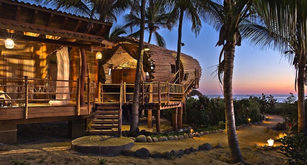 Cand luxul se muta in copac!