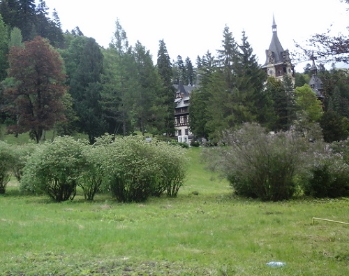 Azi despre ieri – 11 octombrie 2016