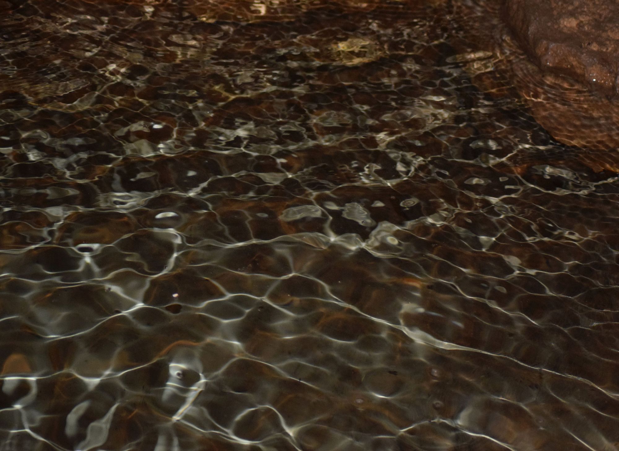 Poveştile clipei: „Styxul îşi dezgoli umerii sub privirile aprinse de cântul sibilei”