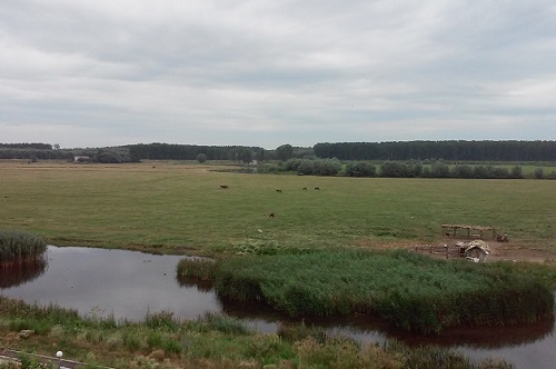 Azi despre ieri – 14 octombrie 2016