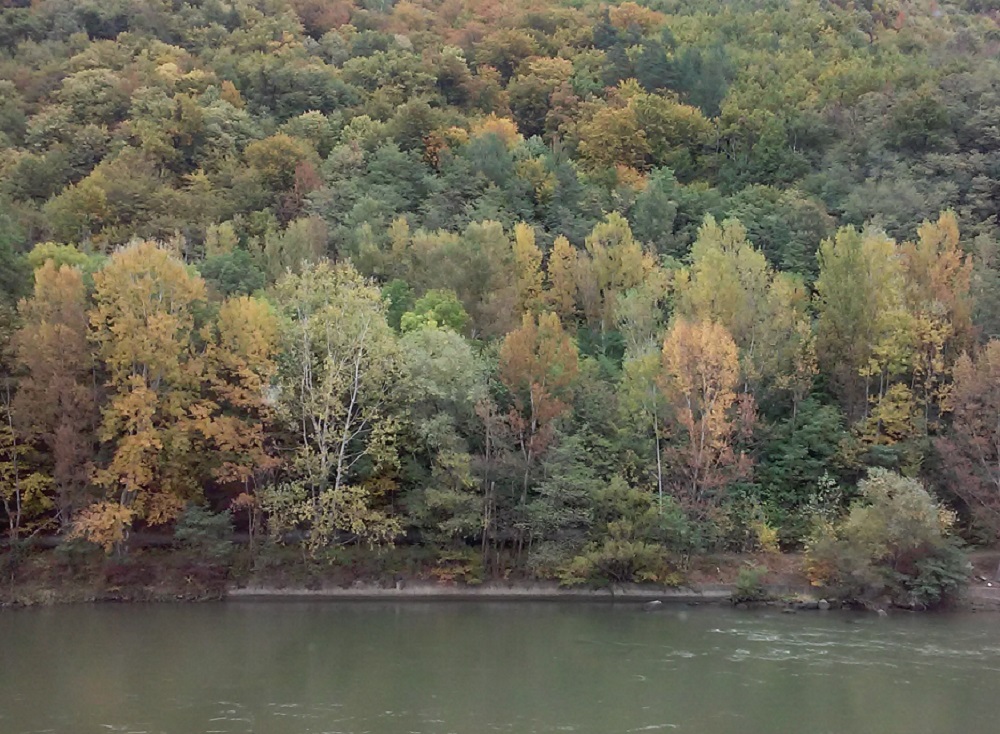 Azi despre ieri – 1 noiembrie 2016