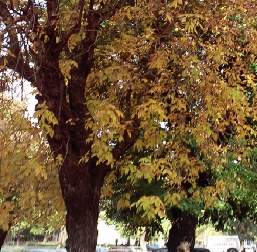 Vremea, astăzi, în Oltenia (audio)
