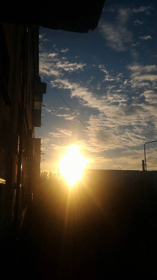 Poemul de azi by Liliana Hinoveanu