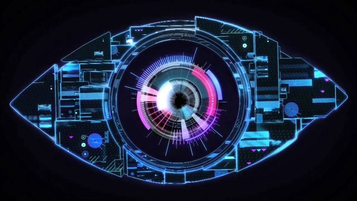 Legea Big Brother este constituţională