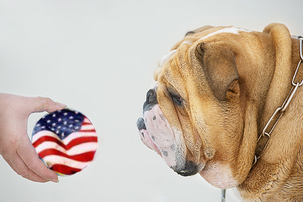 SUA și câinele lui Pavlov