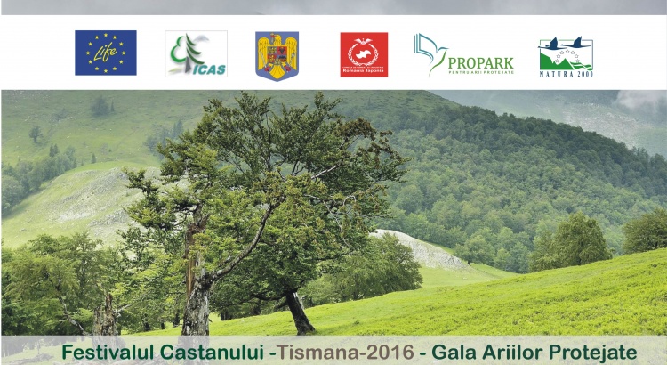 Festivalul Castanului, Tismana 2016