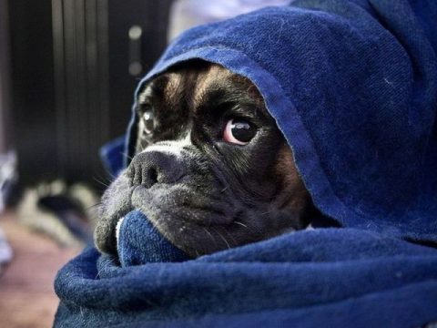 Vreme deosebit de rece (audio)