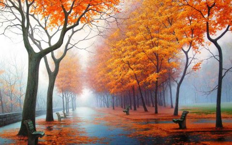 Vremea, maine, in Oltenia (audio)