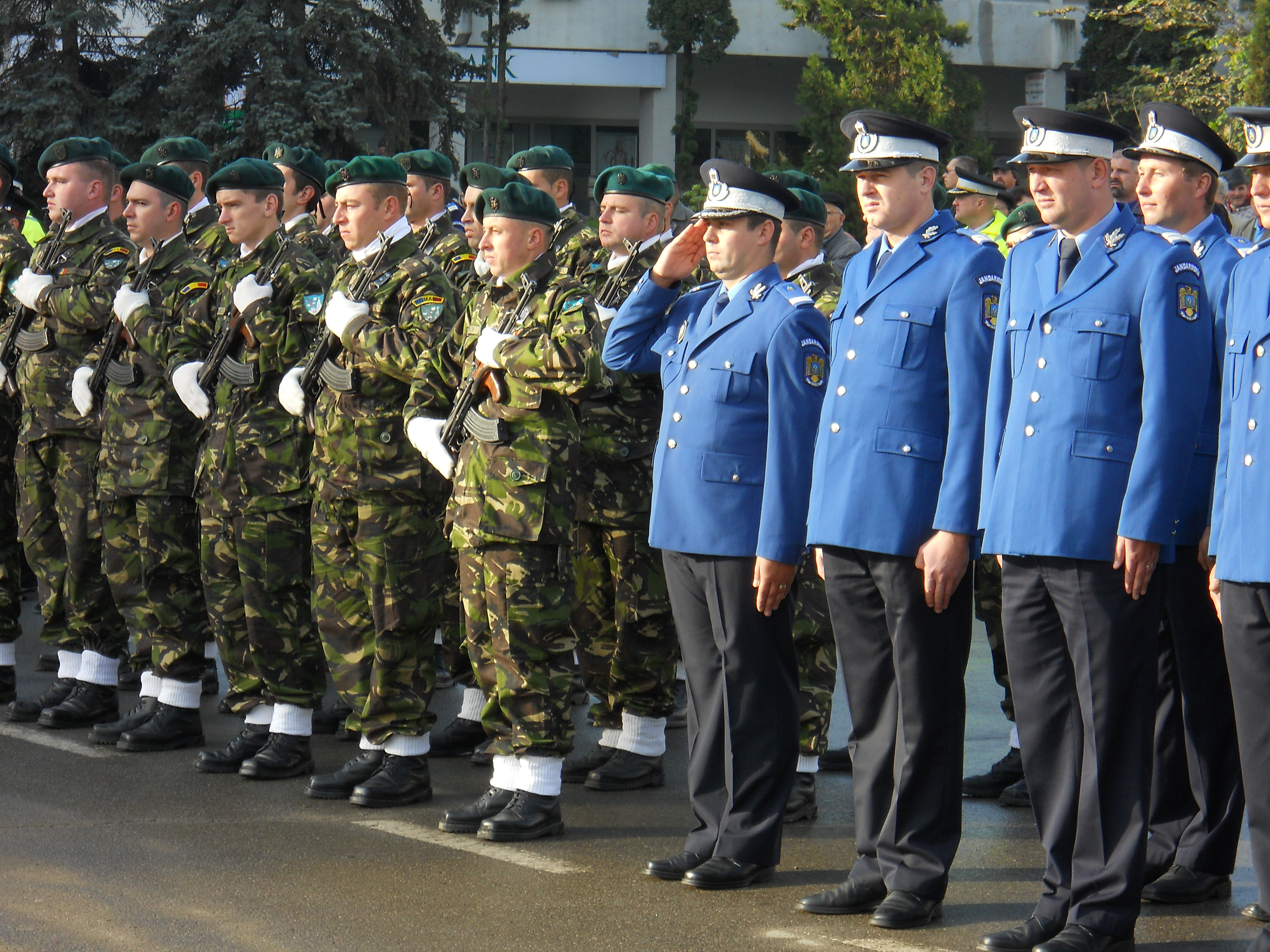Ziua Armatei sarbatorita si la Craiova (audio)