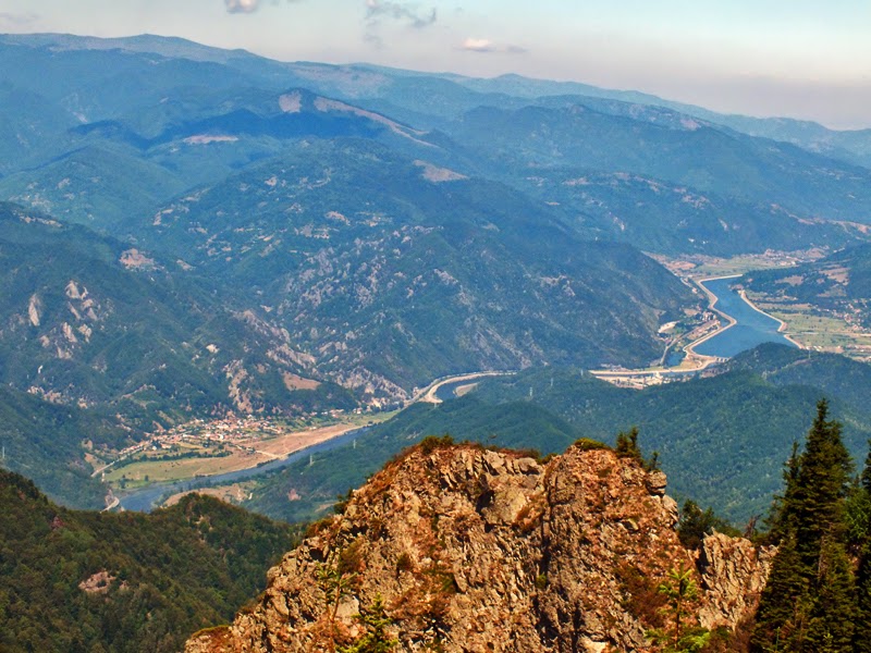 Fosile marine din Cretacic, gasite in judetul Valcea!
