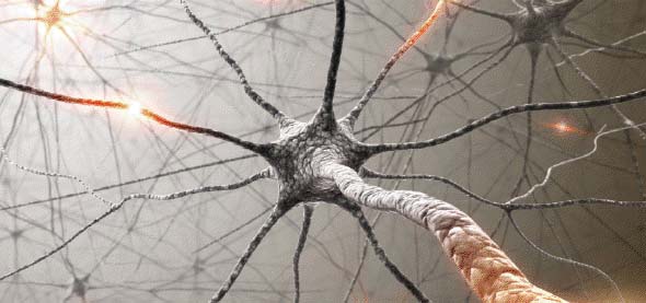 (Audio) Conferinta nationala de psihiatrie si sanatate mintala la Craiova