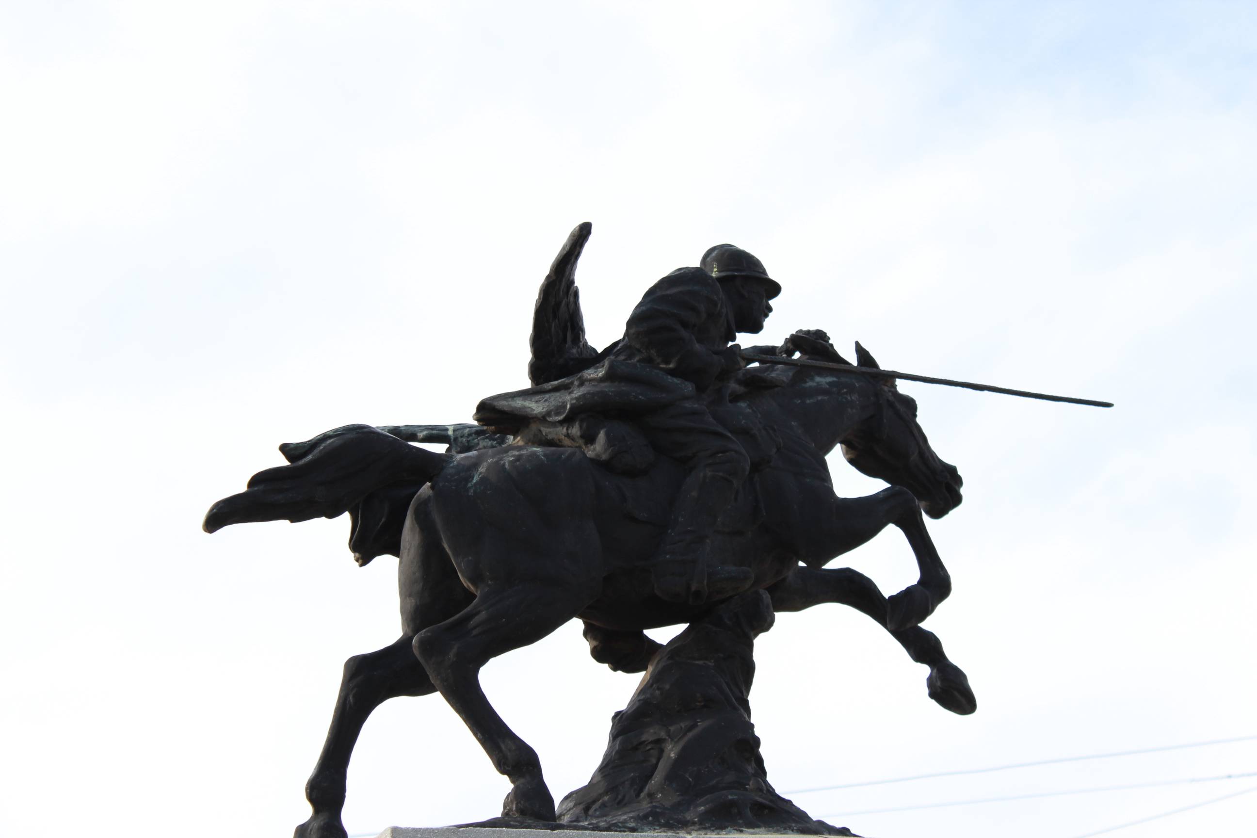 (foto+video) Centenarul Șarjei de la Robanești