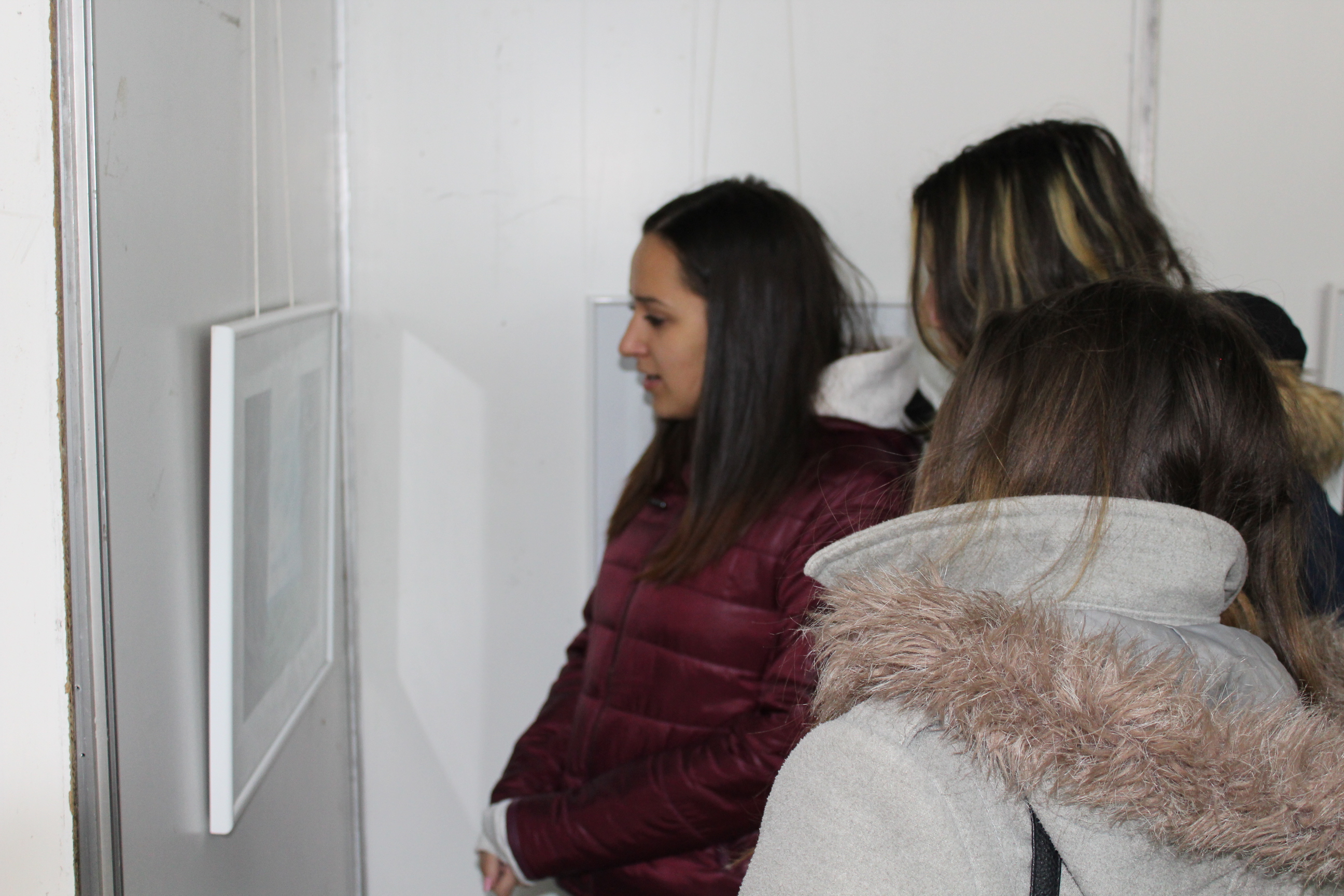 (foto+video) „Pictopoeme“, de Liliana Hinoveanu la Centrul Cultural Pitești