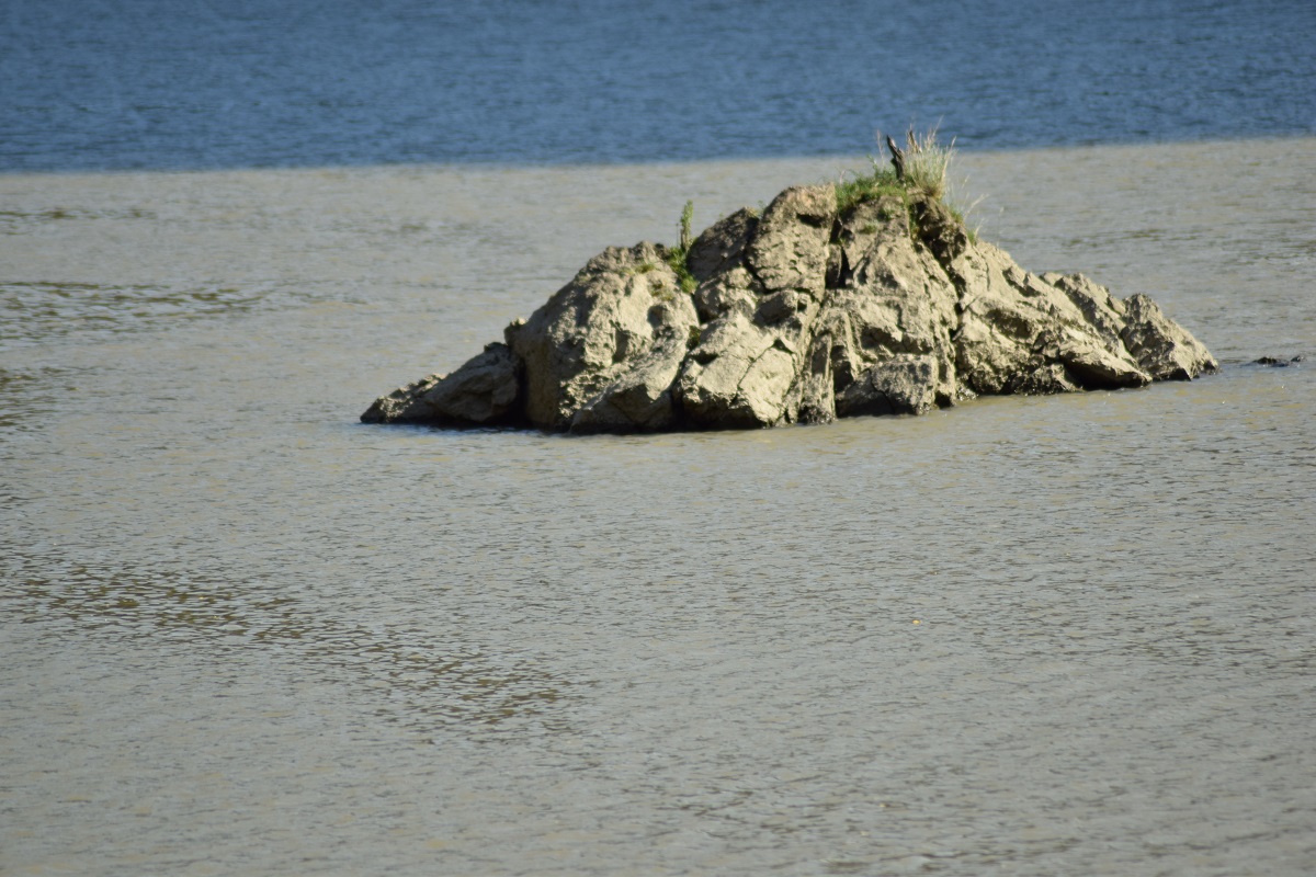 Azi despre ieri – 8 noiembrie 2016