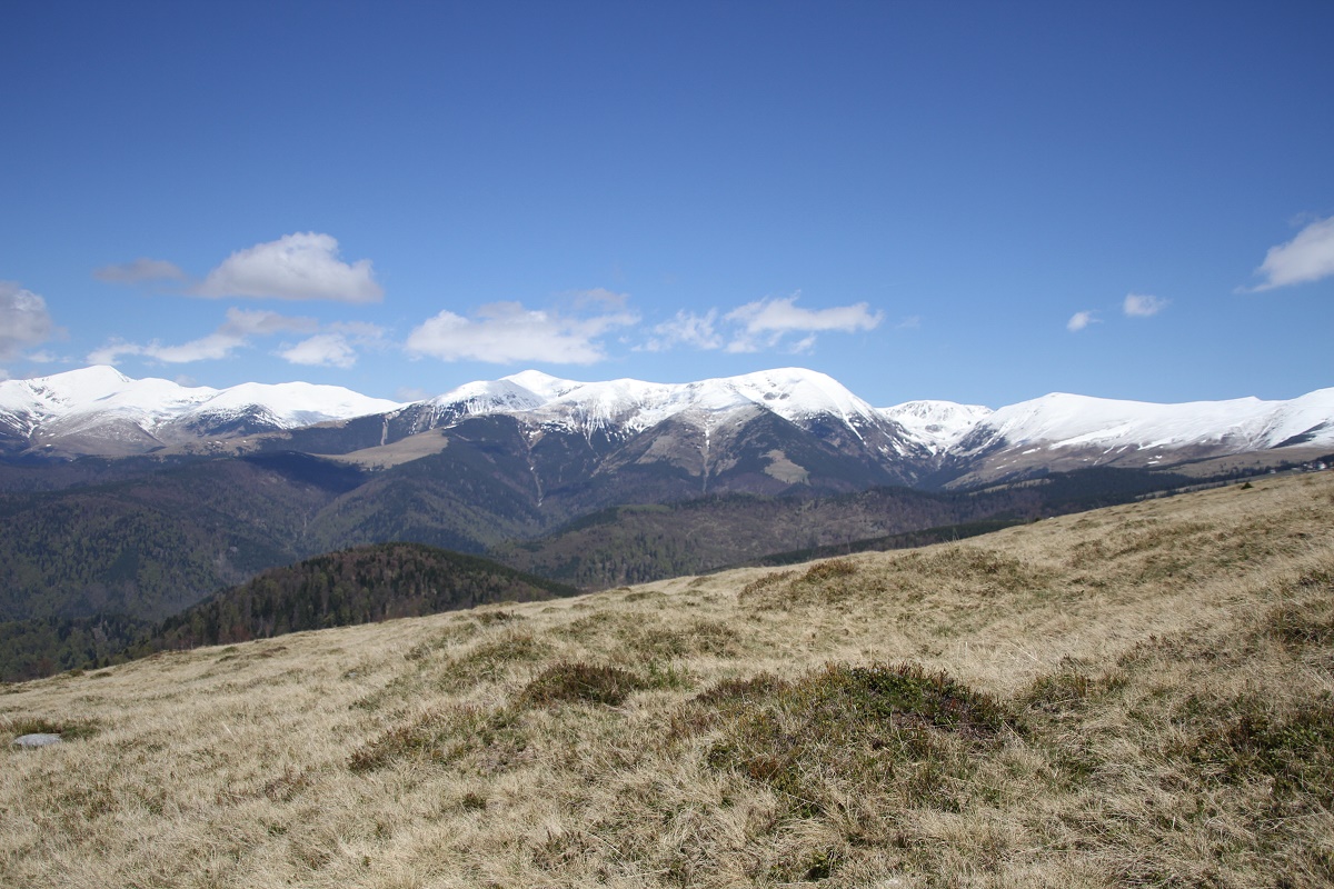 Azi despre ieri – 29 noiembrie 2016