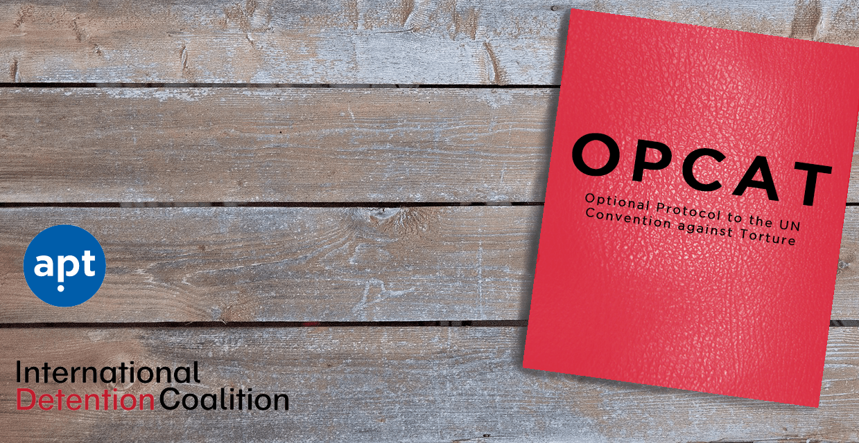 (Audio) Conferința „OPCAT – 10 ani de prevenire a torturii”