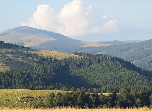 Azi despre ieri – 21 noiembrie 2016