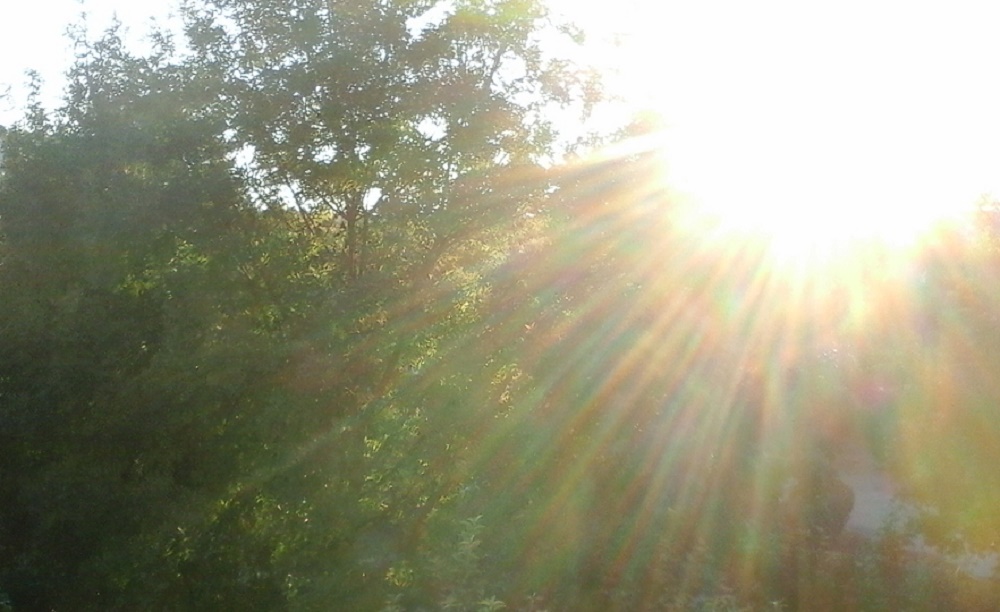 Azi despre ieri – 22 noiembrie 2016