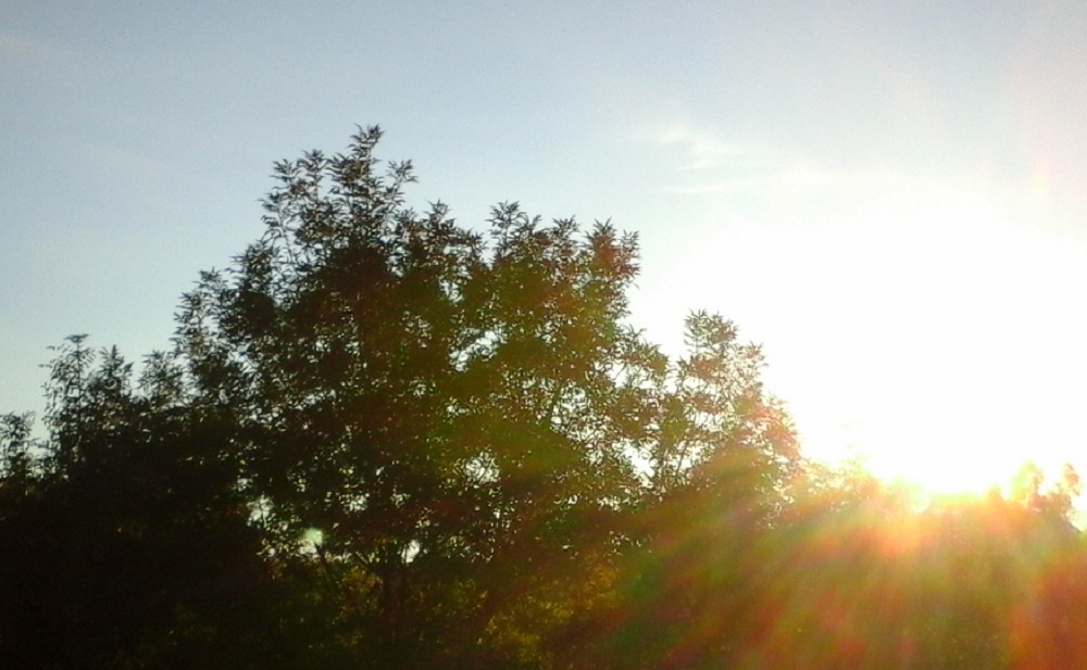 Prognoza meteo 30 octombrie (audio)