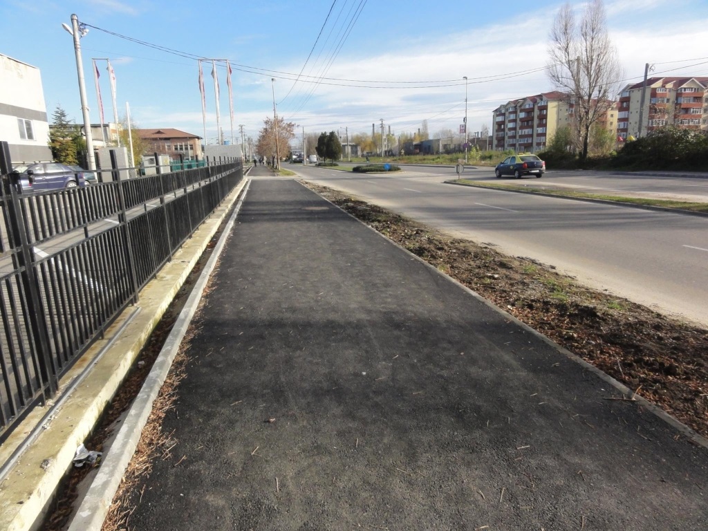 Cea mai amplă campanie de plantare de arbori, la Slatina