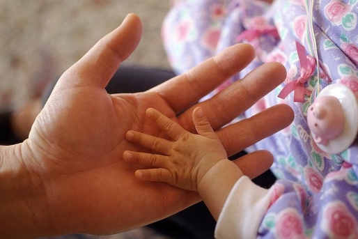 Olanda caută soluții (audio)