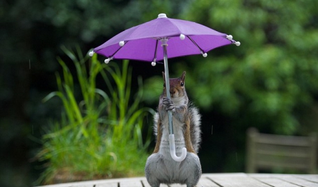 Nu uitati umbrelele! Ploi si frig ASTAZI in aproape toata tara!