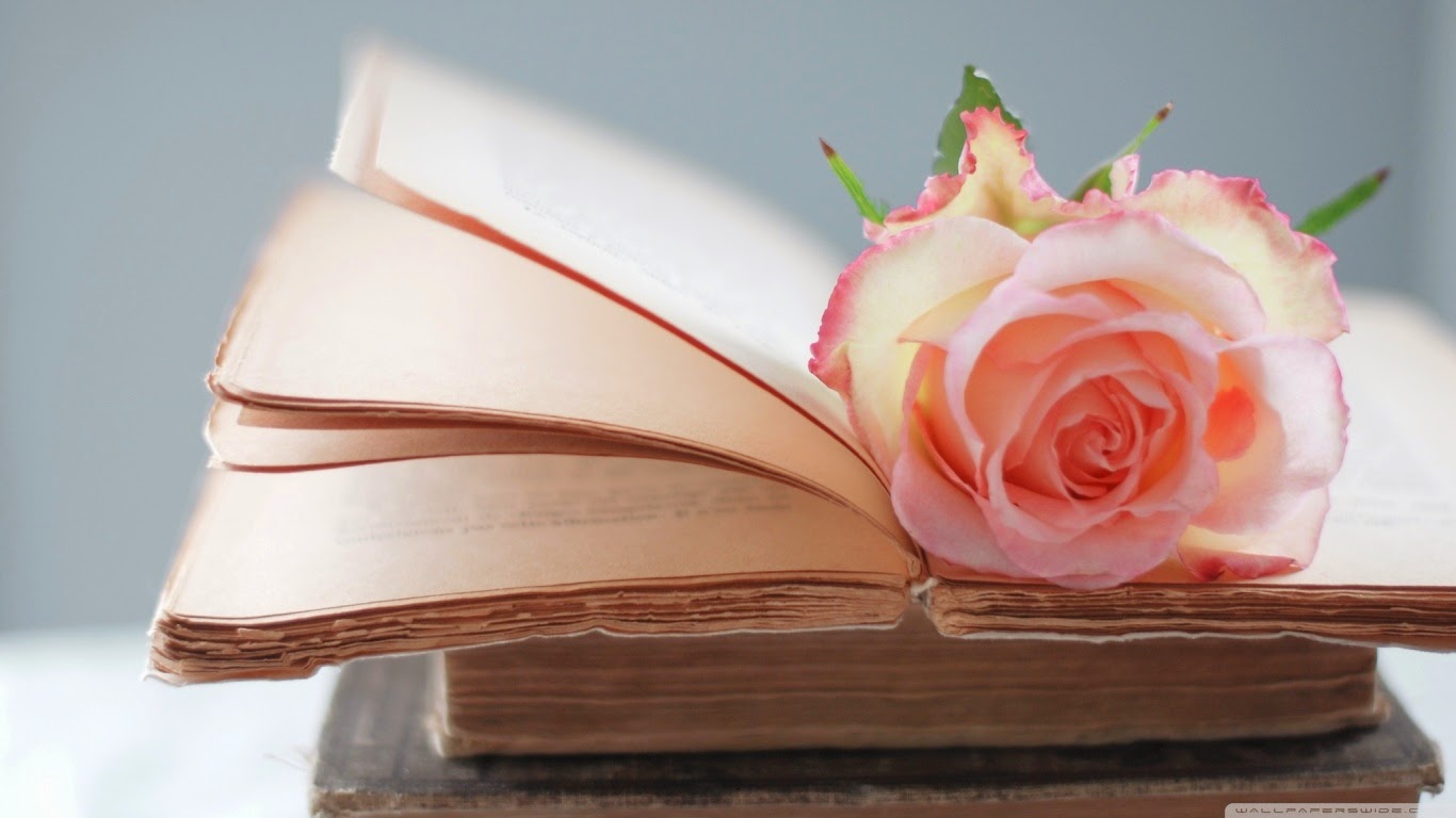 Premiile USR filiala Craiova