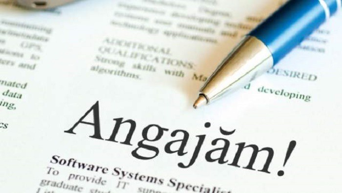 Locuri de muncă vacante