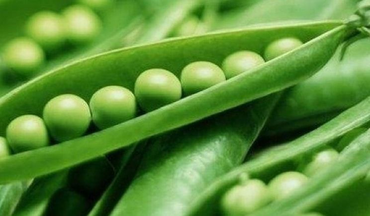 250 de locuri de muncă pentru agricultorii vâlceni