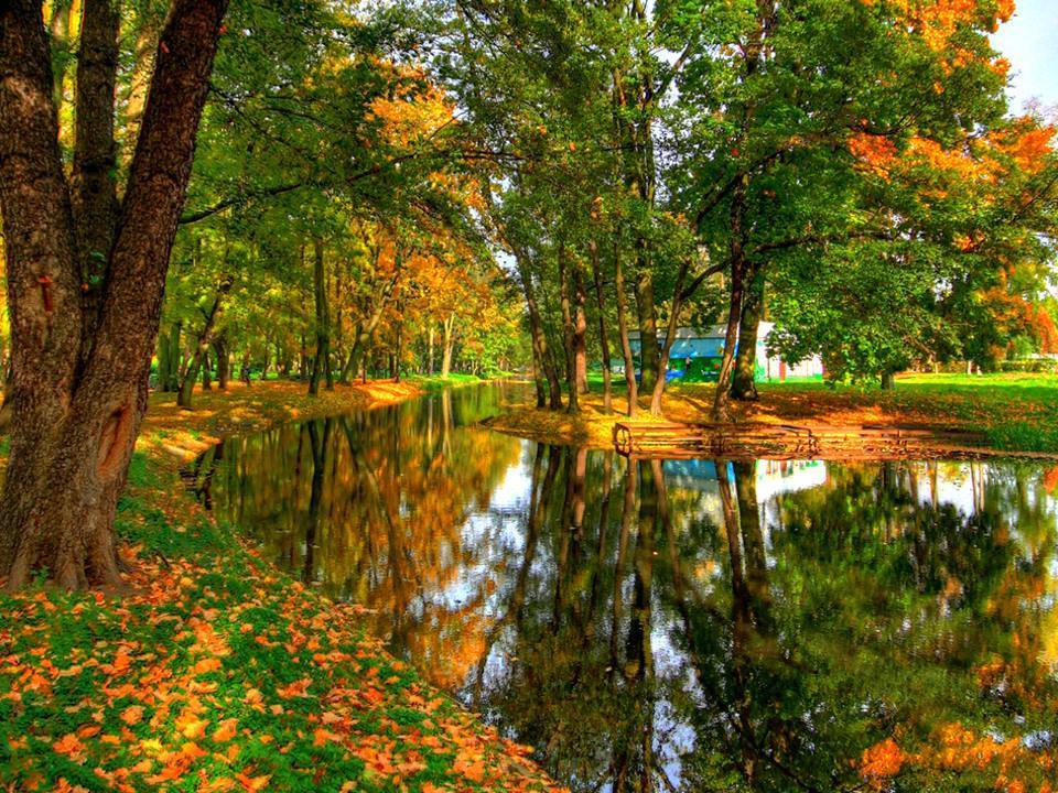 Prognoza meteo 18/19 noiembrie