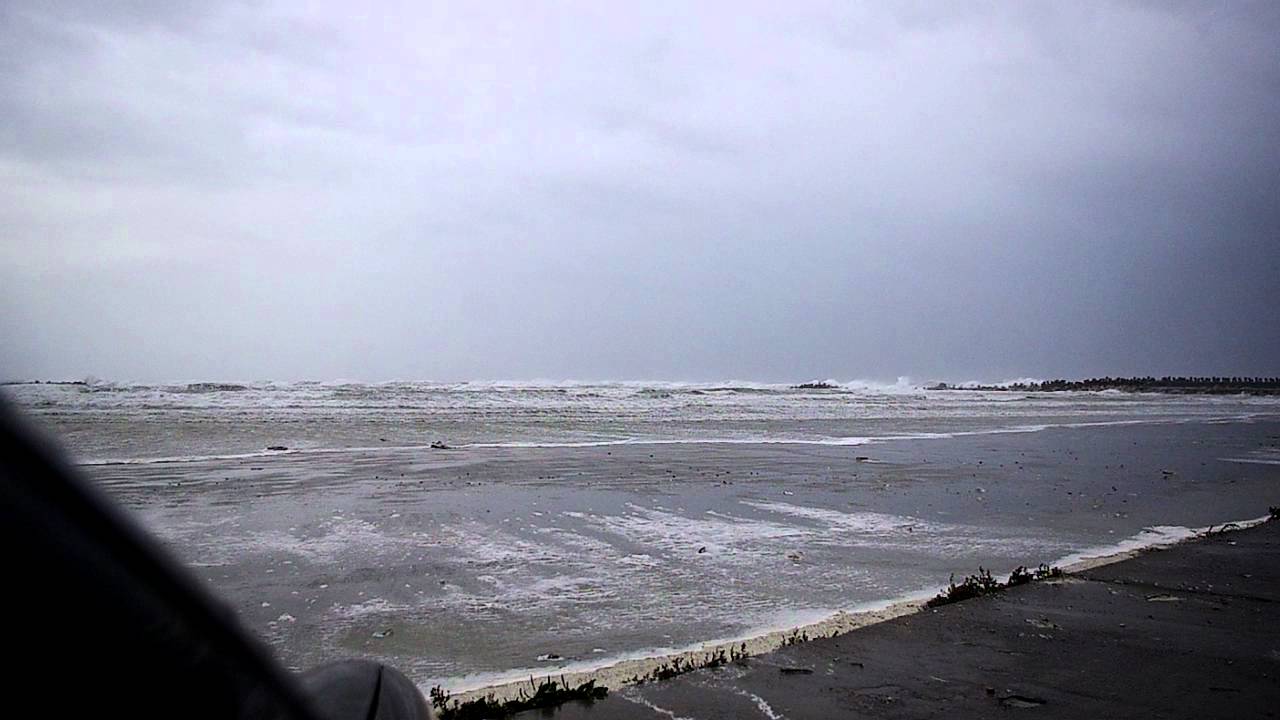 Gripă aviară în România !