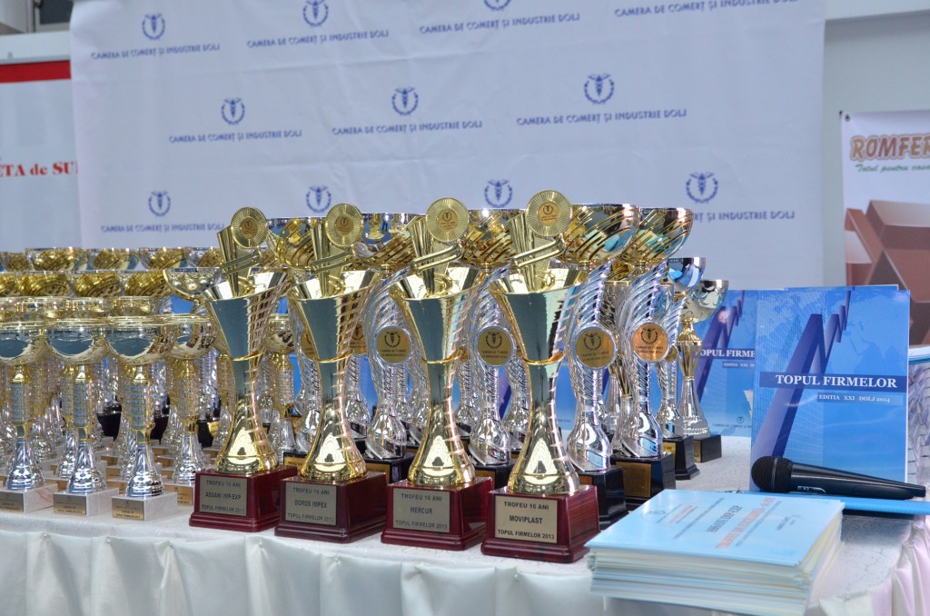 Firmele doljene de succes premiate de CCI Dolj