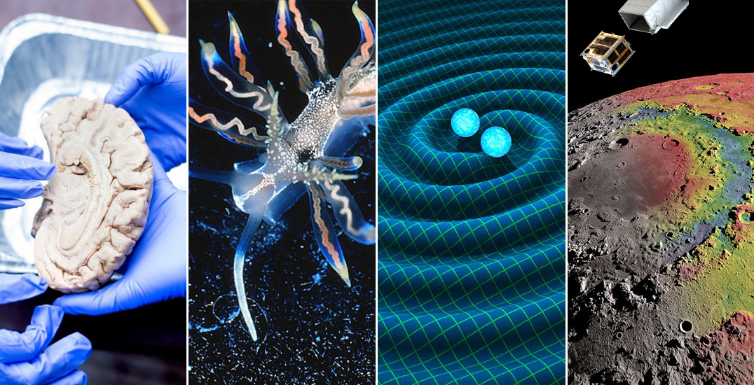 Cele mai importante descoperiri științifice din 2016