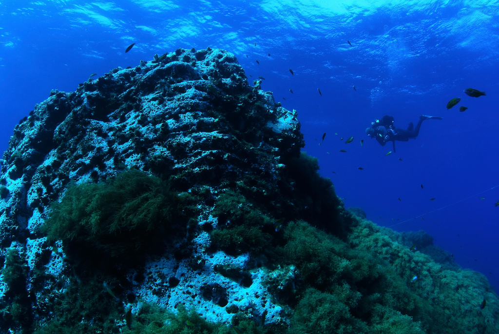 Cel mai lung lanț muntos din lume se află în… adâncul oceanului!