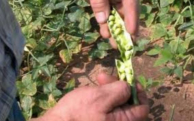 150 de locuri de muncă în Danemarca și Portugalia