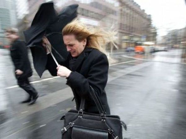 Cod galben de vânt în Mehedinți