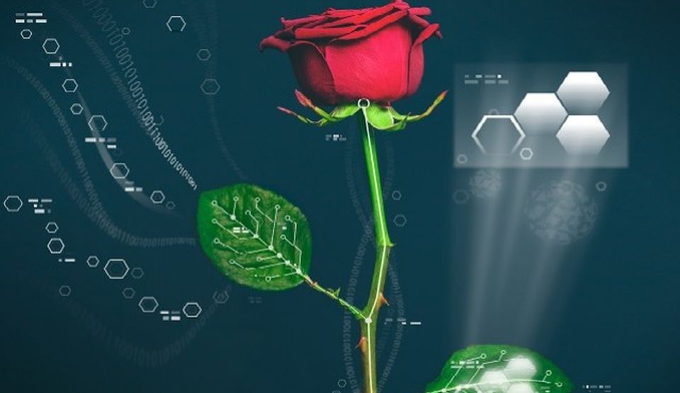 A fost creată prima plantă electronică din lume