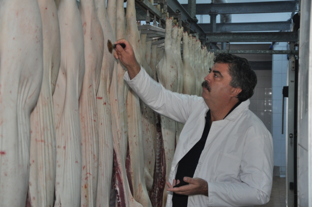 Au inceput controalele ANSVSA