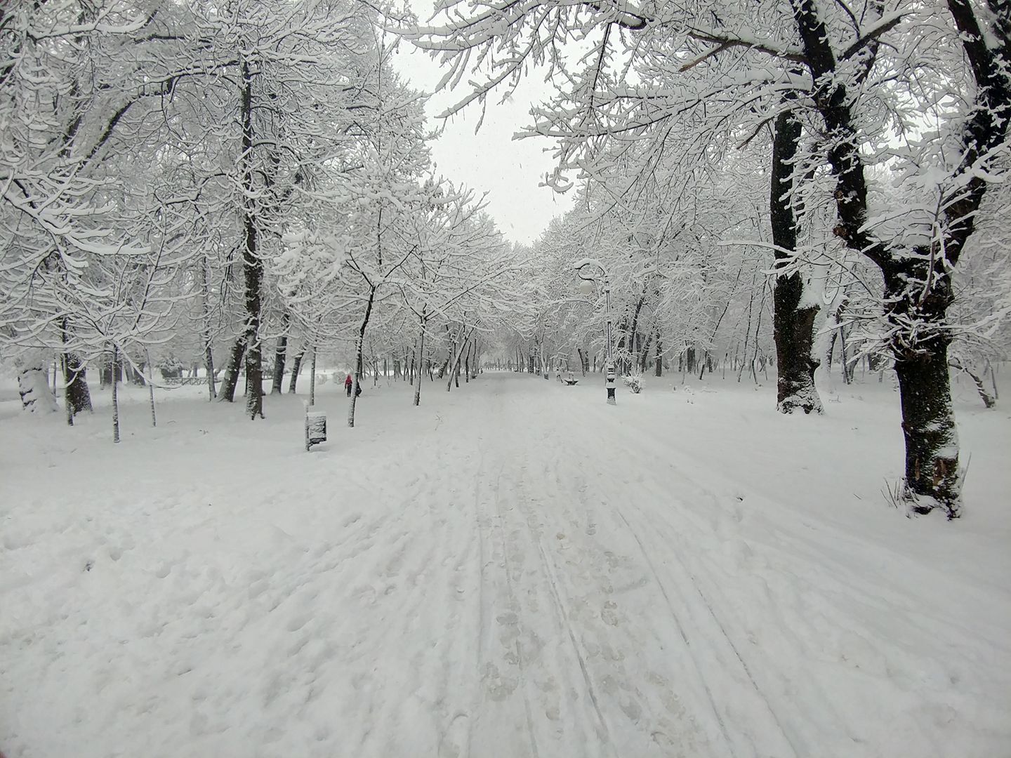 Parcul Nicolae Romanescu din Craiova s-a imbracat in straie de iarna (foto)