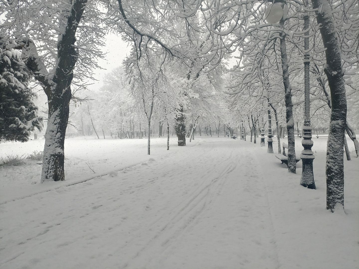 Cat masoara grosimea stratului de zapada??