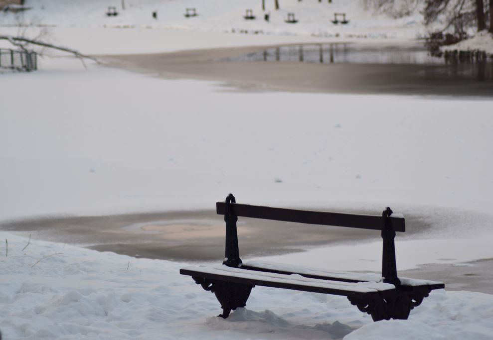 Poveştile clipei: „Băncile sculptate în singurătăți albe”