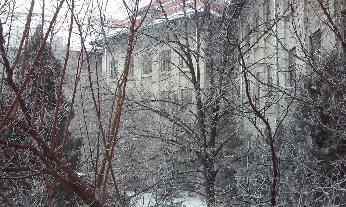 Azi despre ieri – 3 februarie 2017