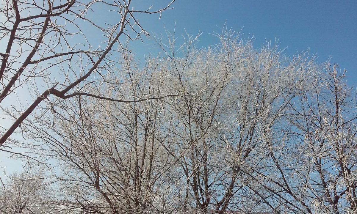 Azi despre ieri – 6 februarie 2017